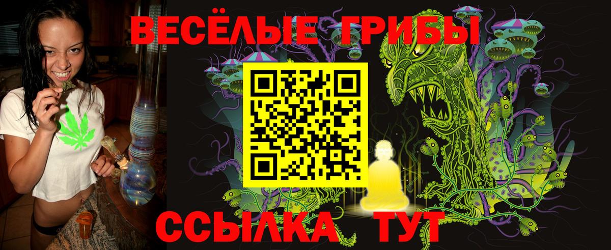 Псилоцибиновые грибы ЛСД Мариинск